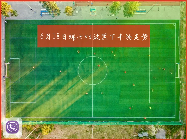 6月18日瑞士vs波黑下半场走势